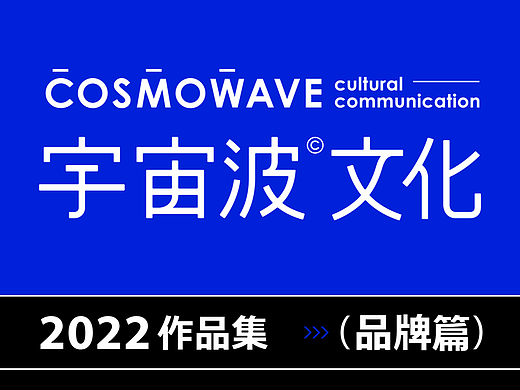 宇宙波文化2022年度总结品牌篇