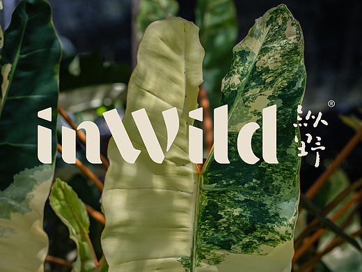 inWild纵野｜标志诞生记四十二