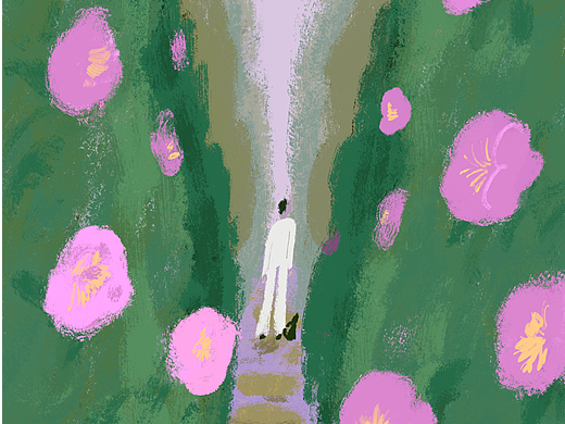 卤猫插画合集（我只是一个搬运工）
