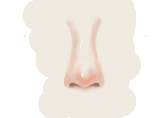 平时作业(鼻子)