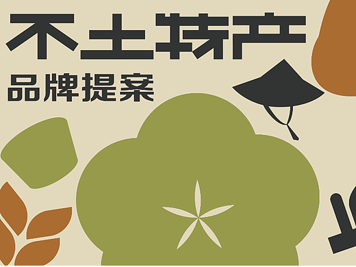 不土特产品牌提案