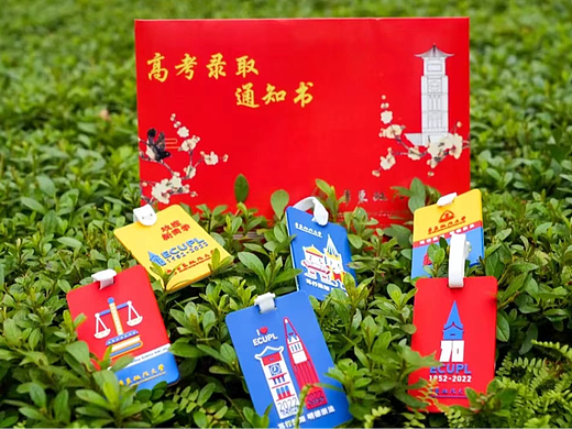 华东政法大学录取通知书+行李牌(个人主页-ZNjI0ODE1MDA=) - 品牌 - 站酷设计师Beryl_蕾原创素材 - 站酷ZCOOL