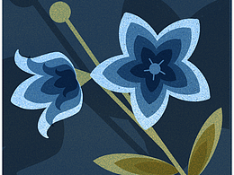 一组花卉的插画