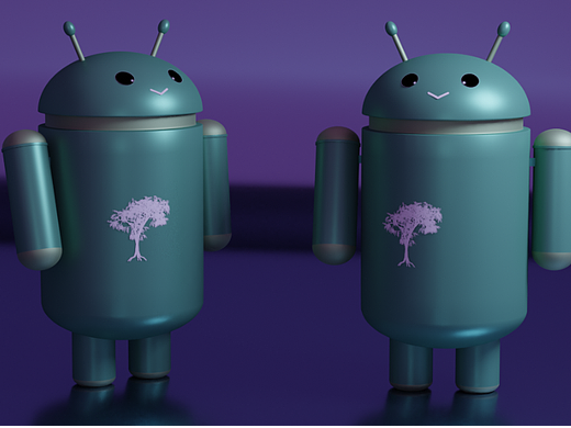 上课带学生做的