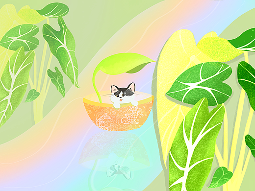 画师繁星2.0第七期第四周 猫猫 我来了