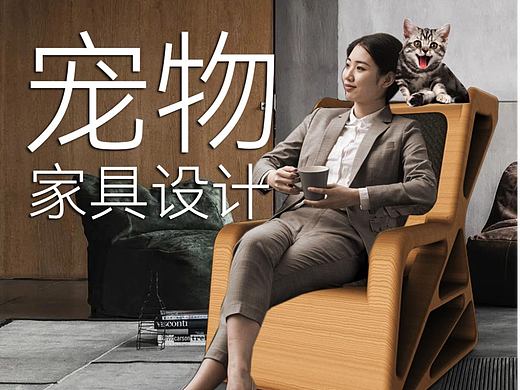 工业设计优秀毕业设计《宠物家具》