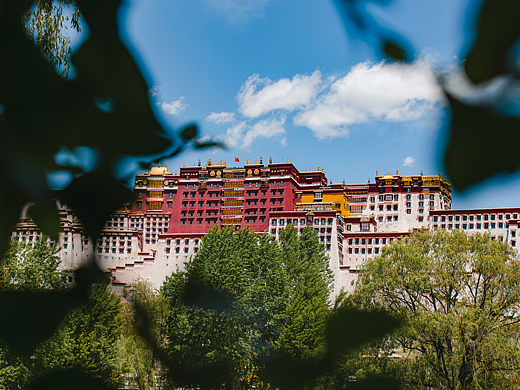 拉萨的一天，从一杯甜茶开始