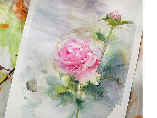 水彩牡丹花