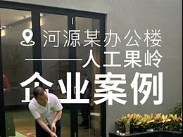 河源市某企業(yè)天臺職業(yè)級嵌沙人工果嶺推桿練習(xí)場地案例