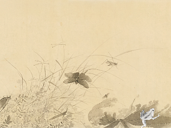 春听雨声，夏听蝉声，秋听风声，冬听雪声