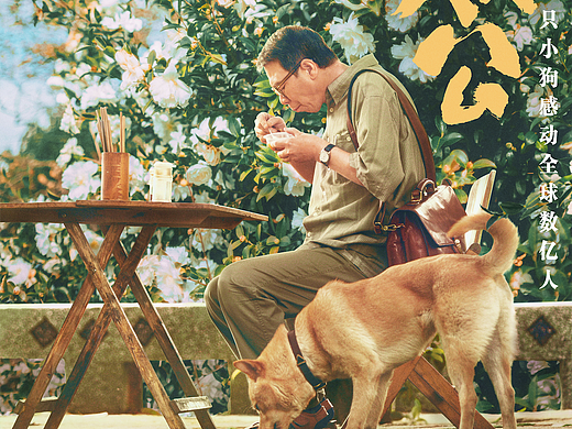 电影《忠犬八公》海报
