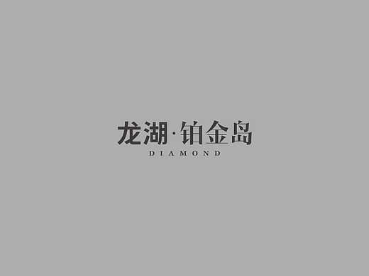 龙湖铂金岛视觉提案