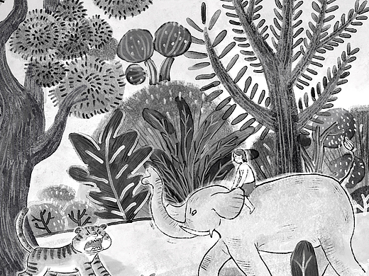 【国际大奖小说插画】禹田文化《丛林的孩子》