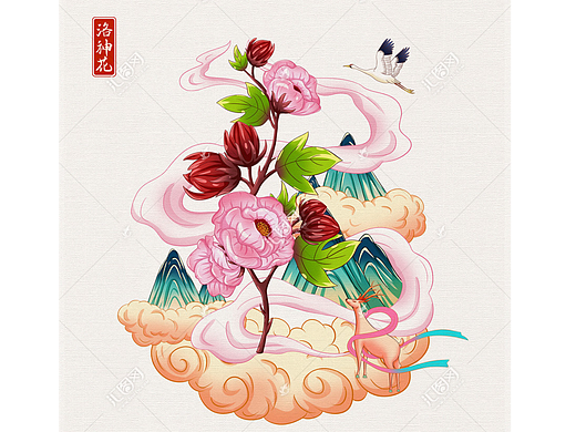 洛神花插画