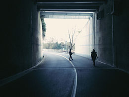 东方绿洲一日游