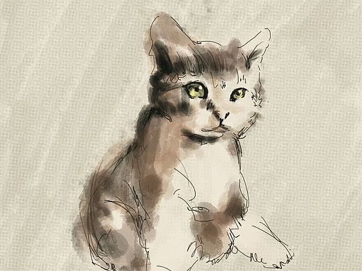 猫咪（个人主页-ZMTUxMzE0NzI=） - 其他平面 - 站酷设计师归归归归零原创素材 - 站酷ZCOOL