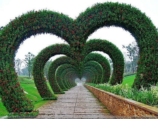 Flash鉆戒動(dòng)效（個(gè)人主頁-ZMTQxMzgyMjQ=） - 品牌 - 站酷設(shè)計(jì)師Missing520原創(chuàng)素材 - 站酷ZCOOL