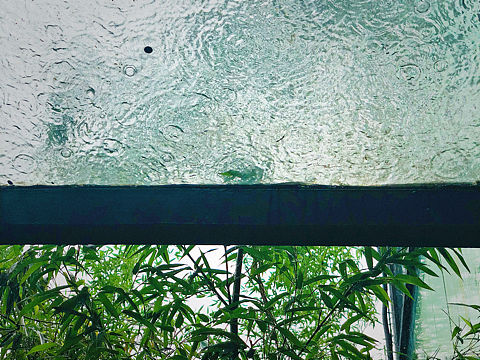雨中