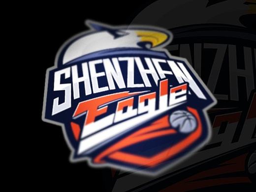 shenzhen basketball club logo