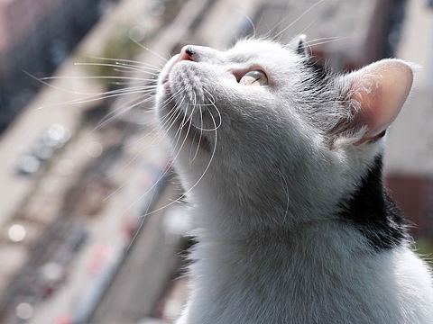 最近这段时间，一些记录（个人主页-ZMzU4NTE1MzI=） - 人文/纪实摄影 - 站酷设计师Esmond起不来床原创素材 - 站酷ZCOOL