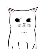 会飞的猪猫的头像