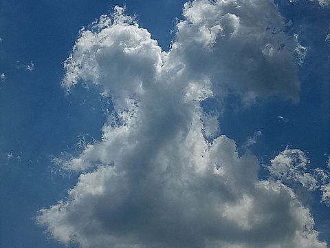 看见啥都想画系列