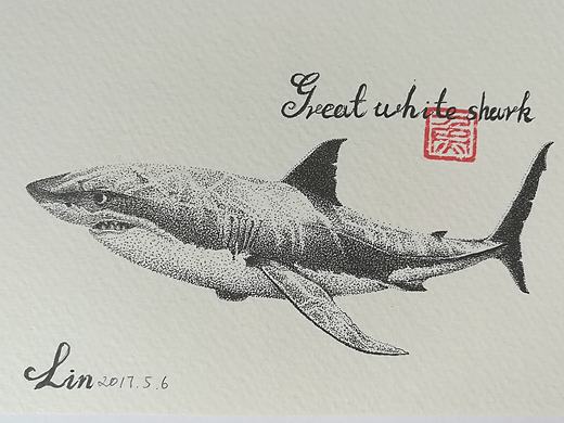 鱼呀鱼