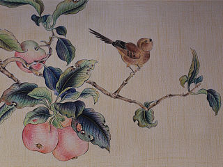 果熟来禽图（个人主页-ZMzg1NzU5Ng==） - 创作习作 - 站酷设计师alicecz原创素材 - 站酷ZCOOL