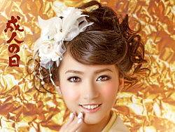 成人之日-大振袖