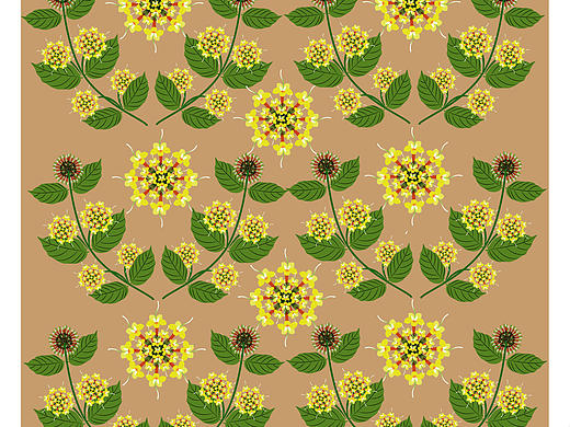 《甘蜜花》中国华侨历史博物馆“侨”文化主题创作