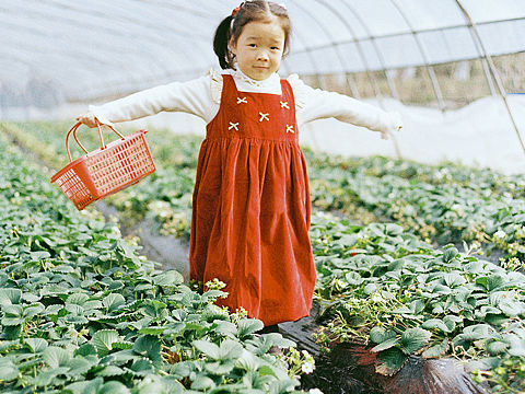 客片分享【莓有烦恼】