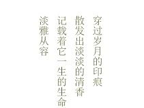 今天做的一版排版