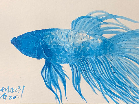 水彩手绘鱼