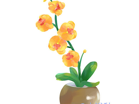 花束集合，原创插画，图片已商用