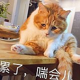 幻印的头像