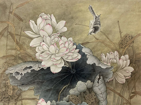 荷花