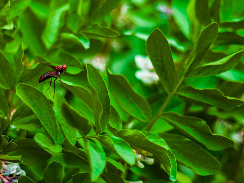 一个叫春的季节～（个人主页-ZMjEzMDIwNjA=） - 风光摄影 - 站酷设计师13579air原创素材 - 站酷ZCOOL