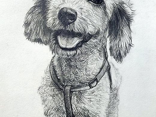 我的皮（個(gè)人主頁-ZMzE1NDA2OTI=） - 繪畫 - 站酷設(shè)計(jì)師Keelin88原創(chuàng)素材 - 站酷ZCOOL