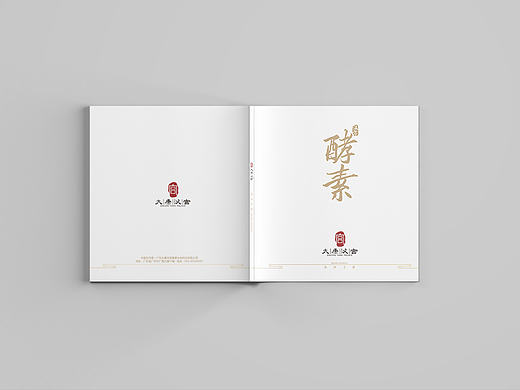 品牌手册/招商书册——大康汉宫（酵素）