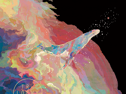 寻星的鲸，七彩的云