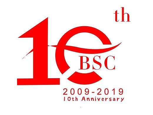 云南百事成10周年慶logo（方案2）（個人主頁-ZMzMxMzA3NDQ=） - Logo - 站酷設計師泥濘兒原創(chuàng)素材 - 站酷ZCOOL