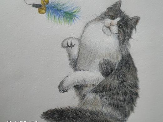彩铅画逗猫图