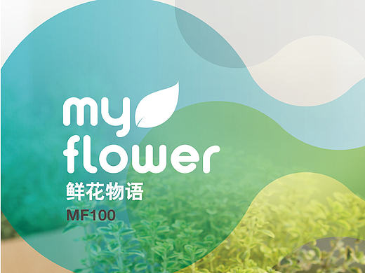 植物水分检测仪DM