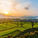 范松的头像
