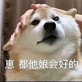 爱吃酸辣牛肉面的头像