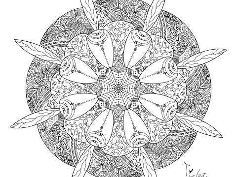 禅绕画 随笔