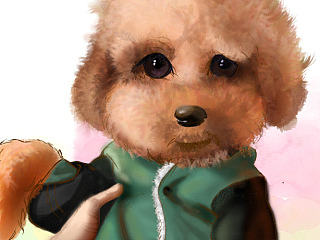 懵懵（个人主页-ZNjUwMDU3Mg==） - 商业插画 - 站酷设计师wons819原创素材 - 站酷ZCOOL