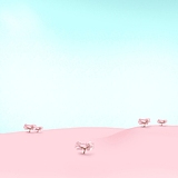 lostlee的头像