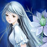 摄影师尘末的头像