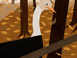 動(dòng)物園的鴕鳥